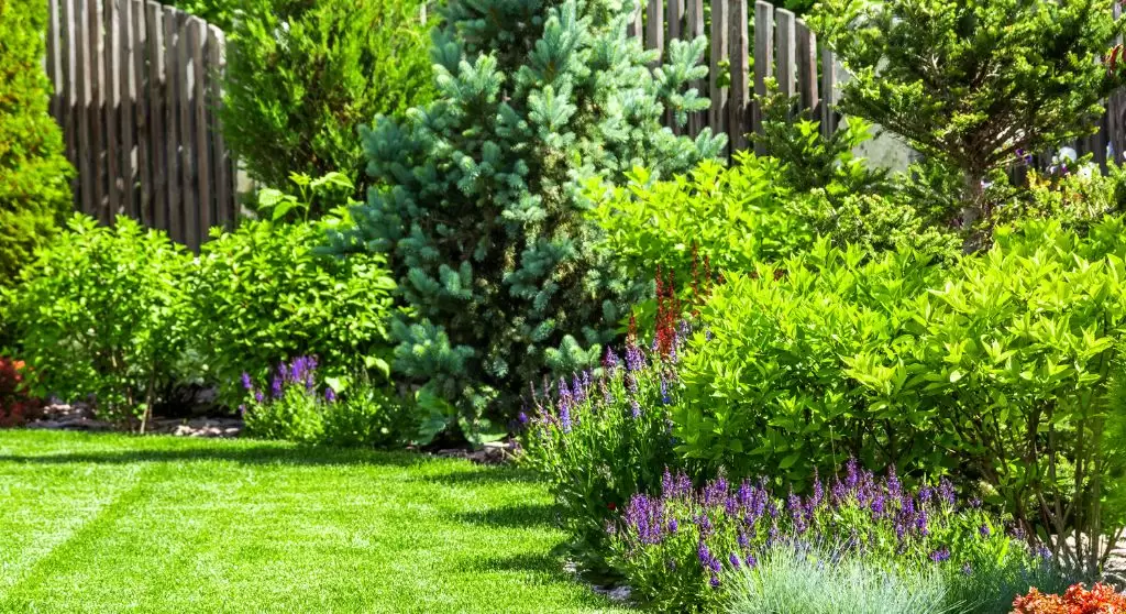 Piante verde, alberi e fiori su un prato verde ben curato