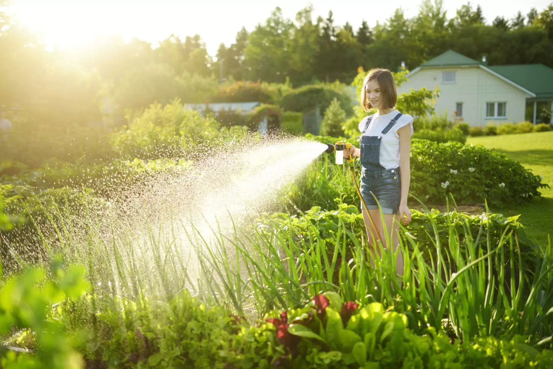 Donna che annaffaio orto e piante con canna dell'acqua a spruzzo